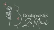doulapraktijk zo mooi logo